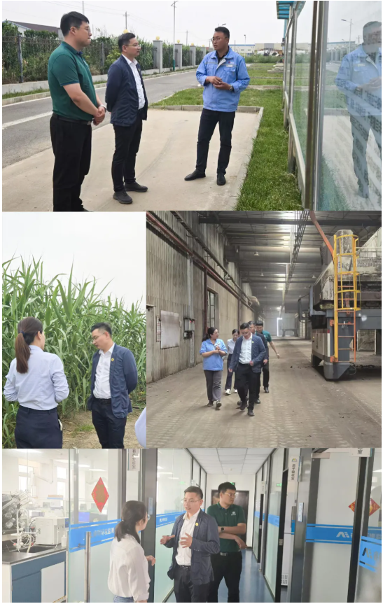 1750041323620728.png d1b39151606f007e196053524bb16bb.png