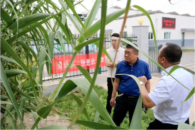 1750831872763302.png bdf29bcb085ed2b8fc870393eb976c3.png