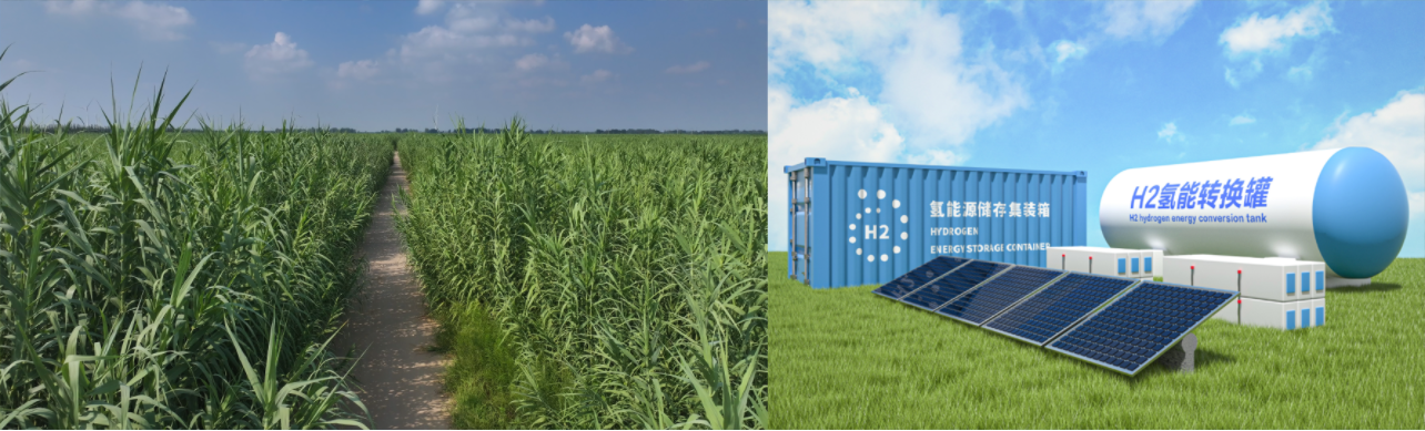 1753318464948709.png 3502f2a95e3a055b25aab1592c12eb6.png