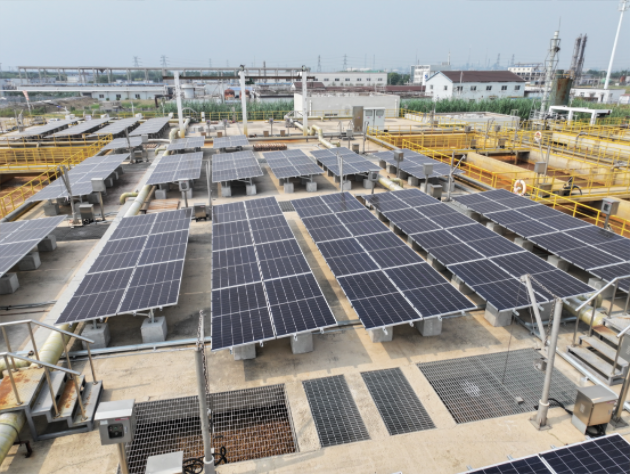 1753318476797125.png db5a86b6d932cb845a43a010b3b32dc.png