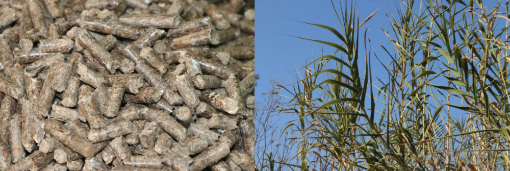 1757993535816379.png 1ecce354e2368f26df56def6f74f094.png